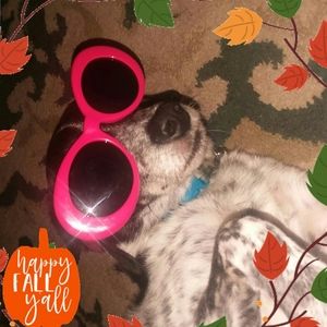 Meet your Posher, Julia